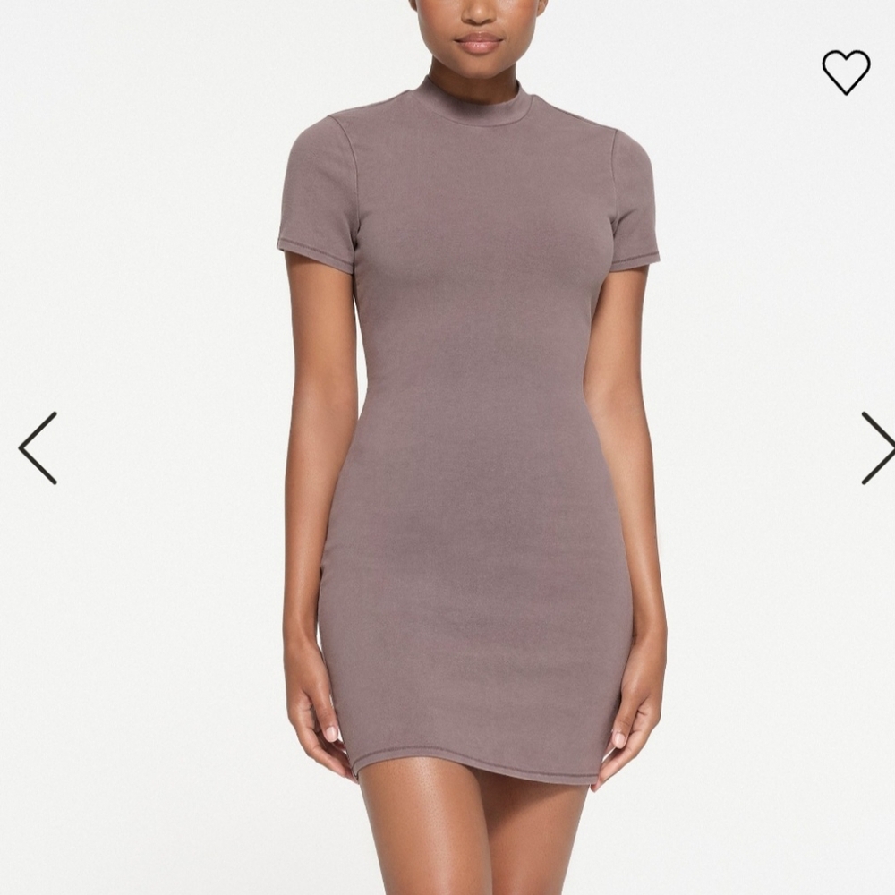 Skims mock neck mini dress xxs NWT zinc
